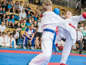 Karatisté z Čech i ciziny se utkali v dvoudenním klání v Českých Budějovicích