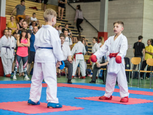 Karatisté z Čech i ciziny se utkali v dvoudenním klání v Českých Budějovicích