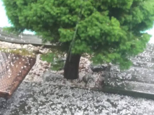 Když po dlouhé době v Budějcích zaprší