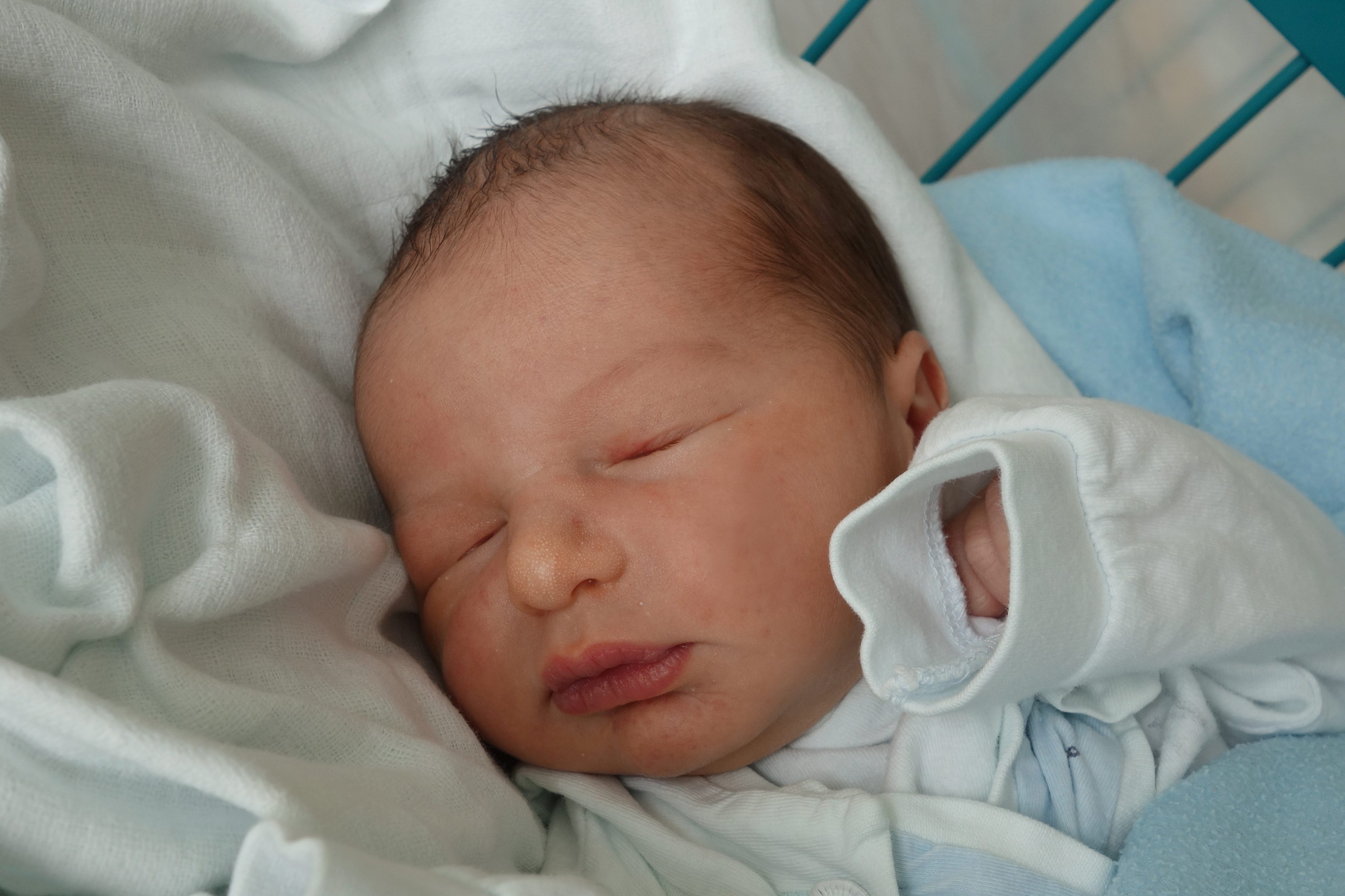 Hieke Albert