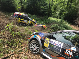 46. Rallye Český Krumlov - erzety Malonty a Rožmberk