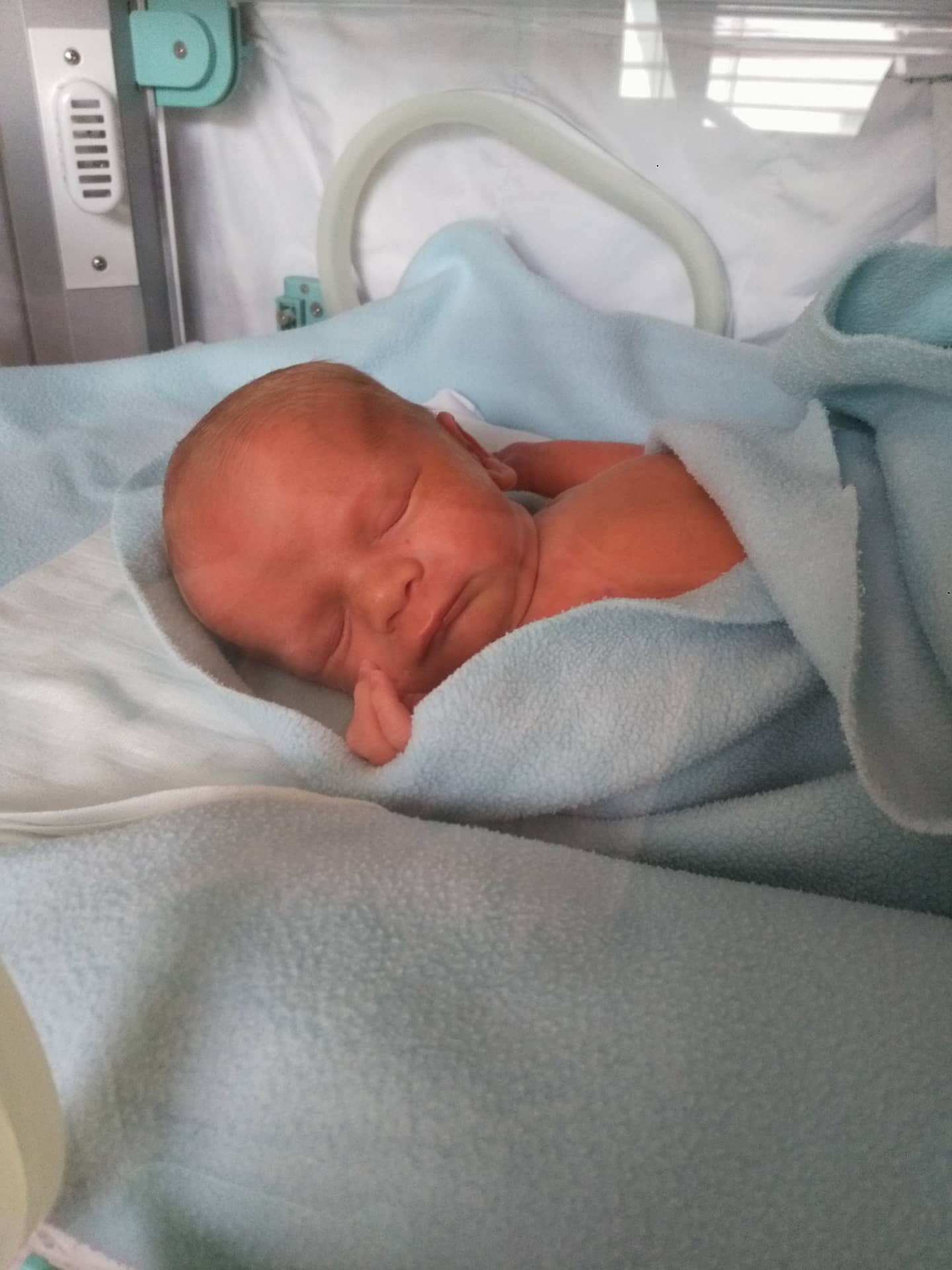 Hájek Daniel