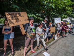 Vláda v demisi v Českých Budějovicích