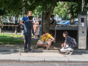 Vláda v demisi v Českých Budějovicích