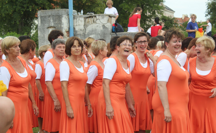 Všesokolský župní slet v Českých Budějovicích
