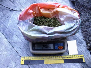 Zajištěno bylo také velké množství drog.