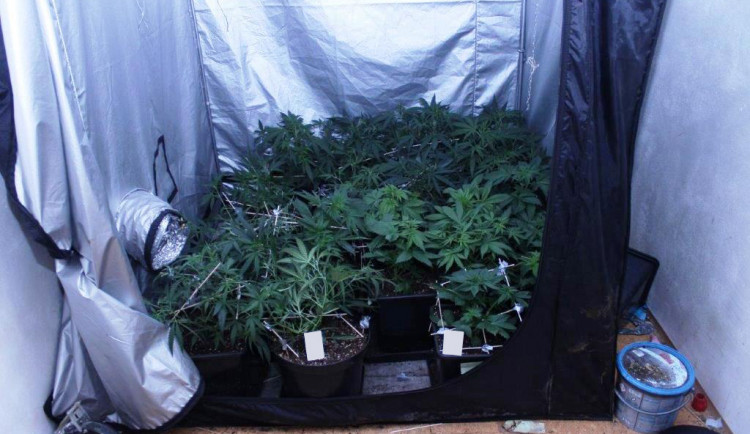 Zajištěna byla také velmi sofistikovaně sestavedná indoor pěstírna konopí.