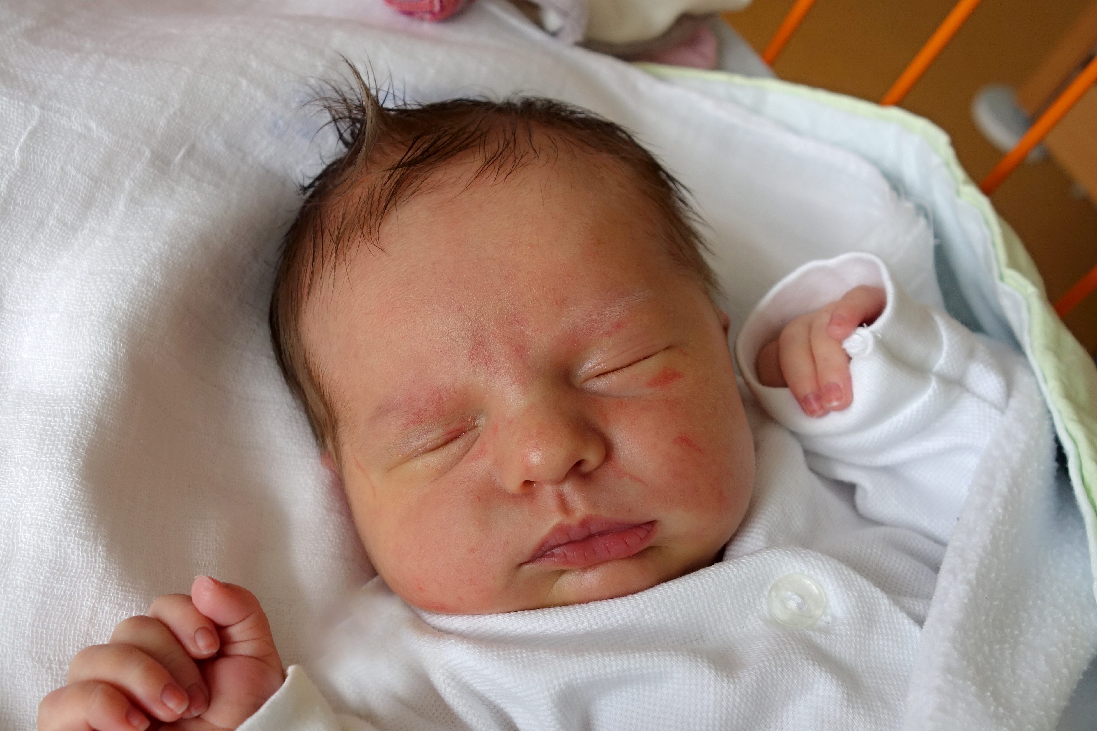 Křížová Zuzana