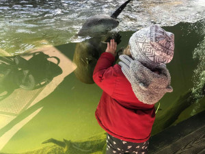 Hluboká láká turisty na top instagramová místa