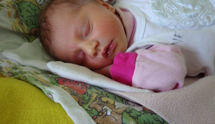 Natálie Ambrožová