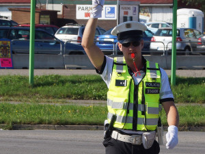 Nejlepší čeští regulovčíci předvedli svůj um v Budějcích