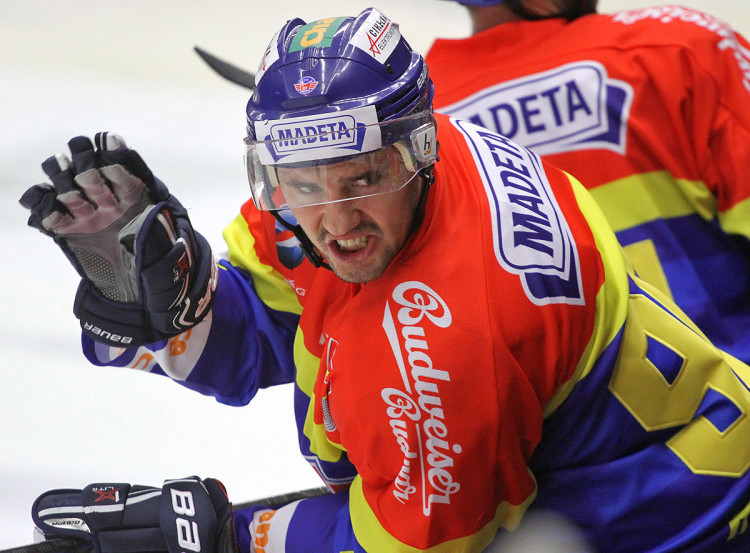 Martin Heřman
