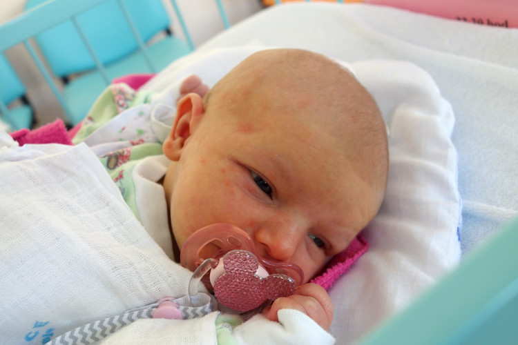 Natálie Konárková