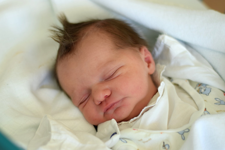 Štěpánka Božovská