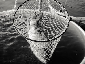 Teplé podzimní dny vás baví