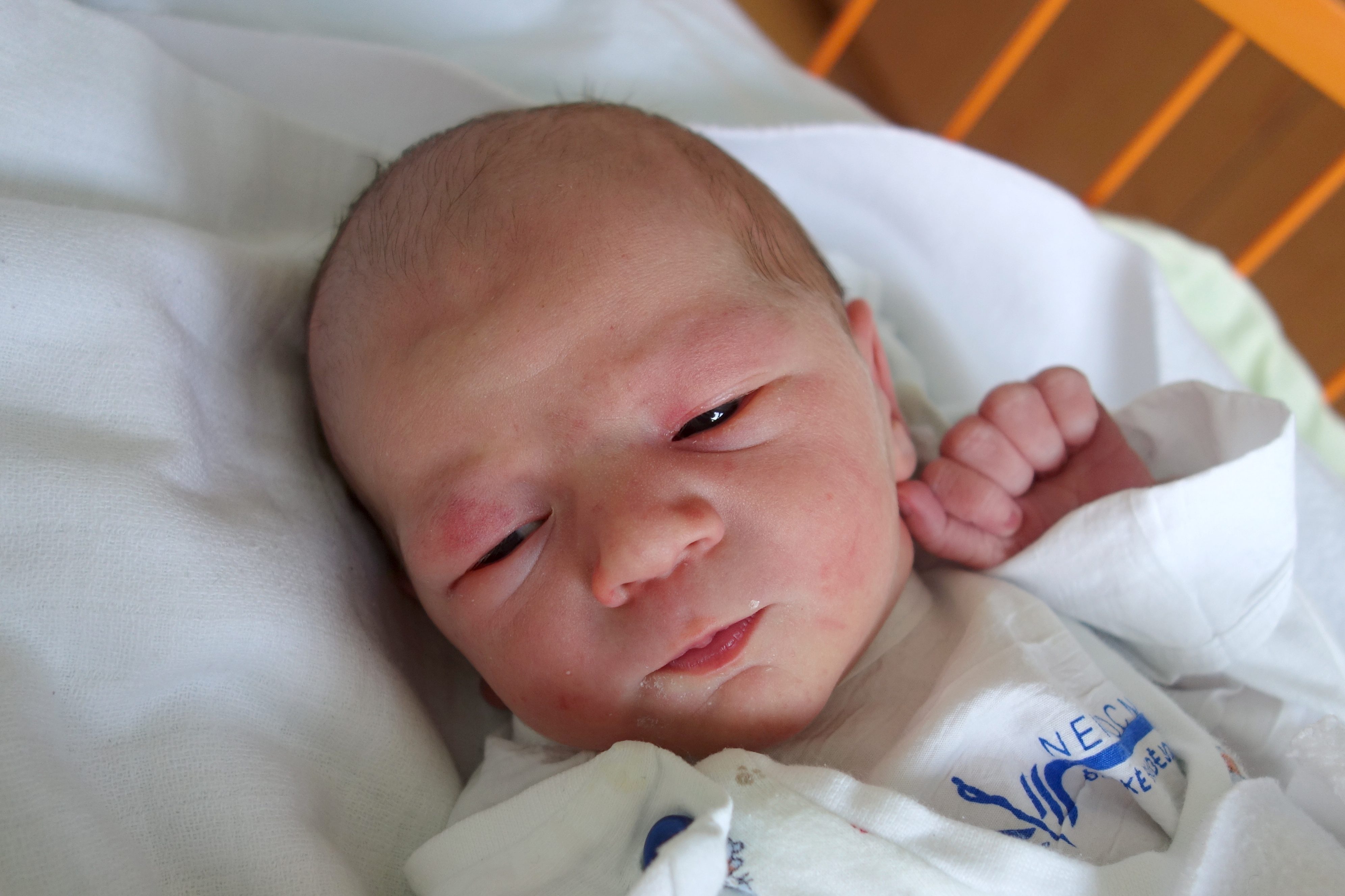 Adam Šulda