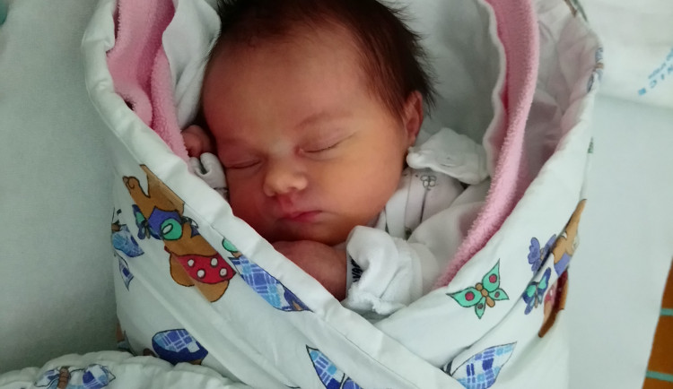 Darvašová Markéta