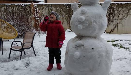 Jihočeši staví sněhuláky
