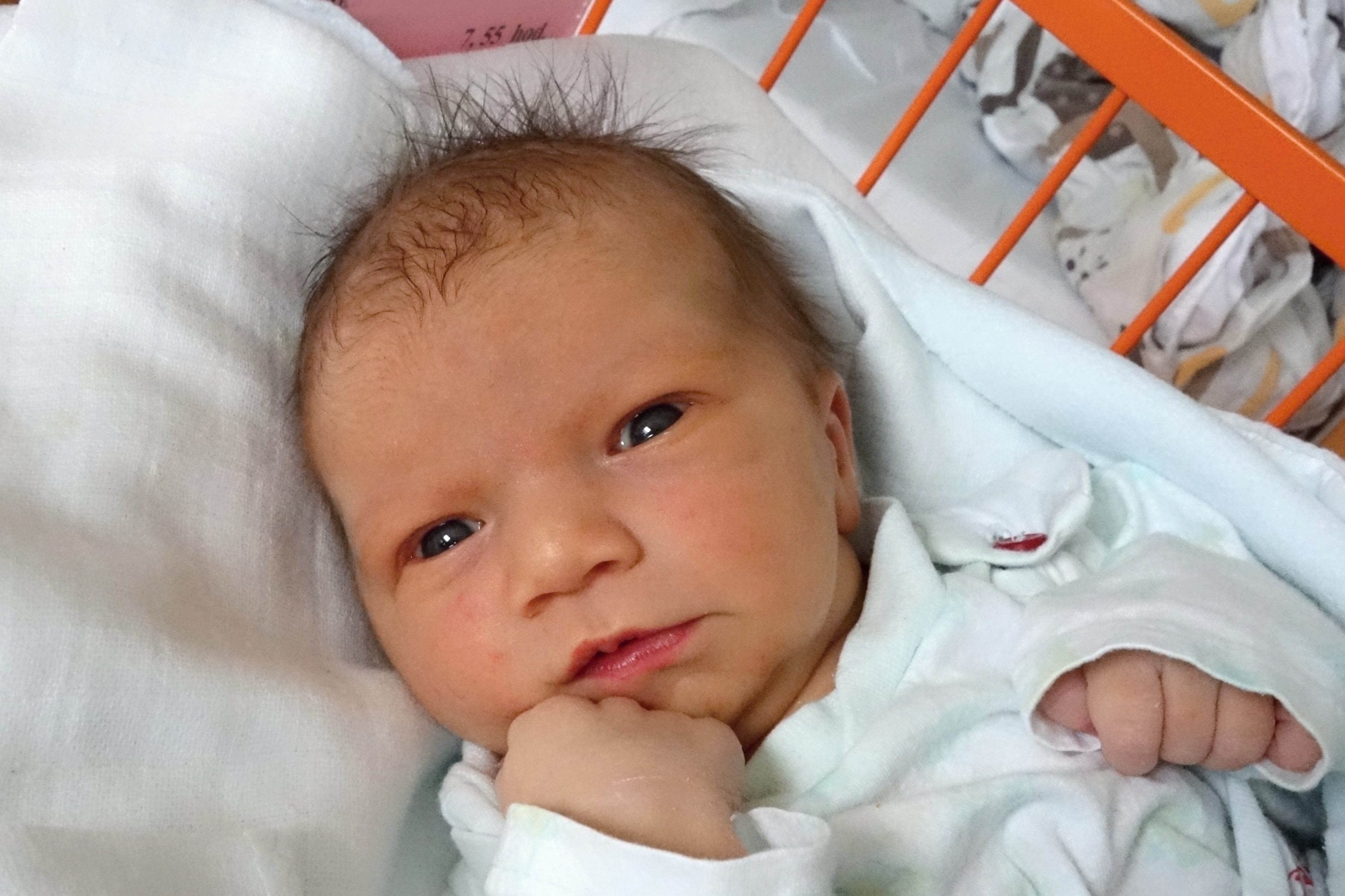 Husová Emma