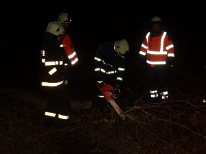 Vítr lámal stromy, hasiči se nezastavili