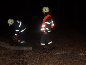 Vítr lámal stromy, hasiči se nezastavili