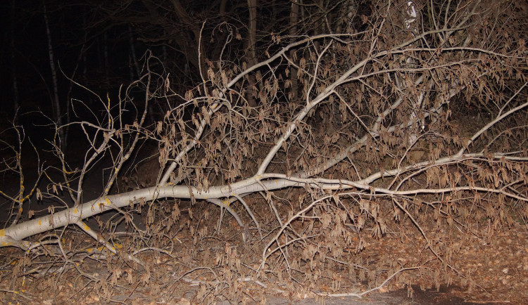 Vítr lámal stromy, hasiči se nezastavili