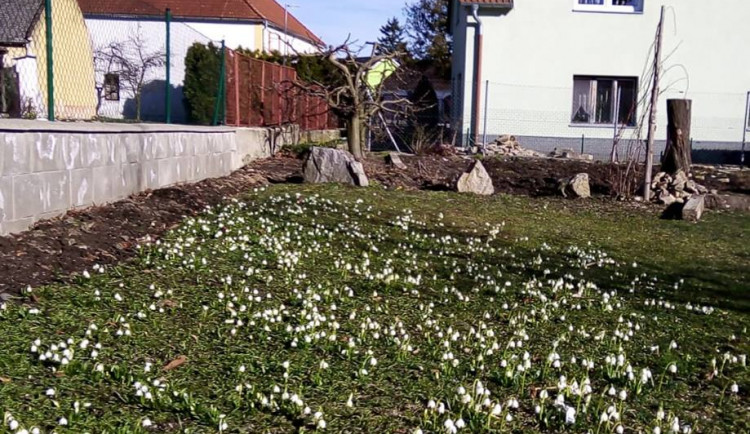 Jaro na Českobudějovicku. Foto: Marta Kinkorová
