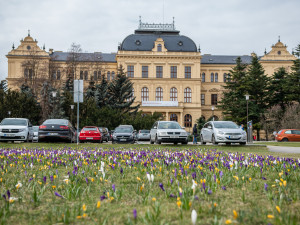 Jaro na Českobudějovicku