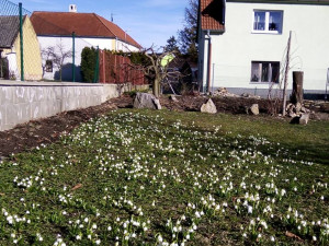 Jaro na Českobudějovicku. Foto: Marta Kinkorová