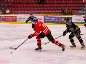 Jihočeská univerzita neobhájila titul z loňského roku, na ledě podlehla VŠTE