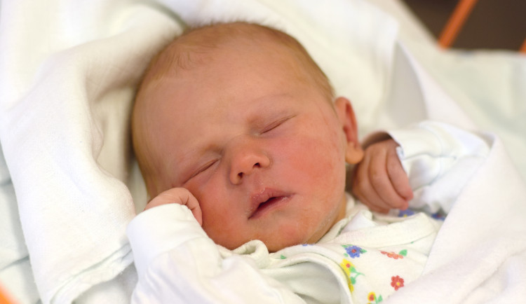 Vávrová Štěpánka