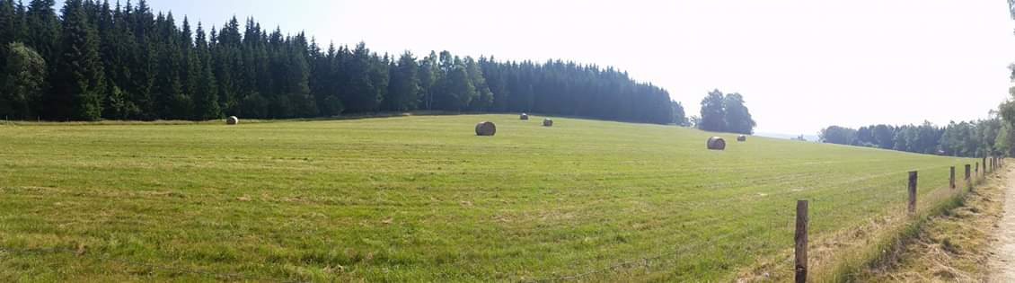 Lukáš Hluchý