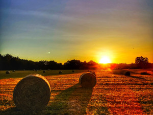 Jsem amatér, fotím si jen pro radost, říká známý Budějčák Tomáši Fotím Nakaši