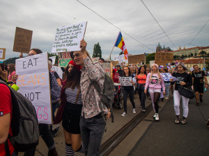 Pochodu za práva zvířat se zúčastnily stovky lidí