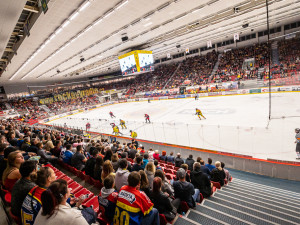 ČEZ MOTOR České Budějovice vs SK Horácká Slavia Třebíč