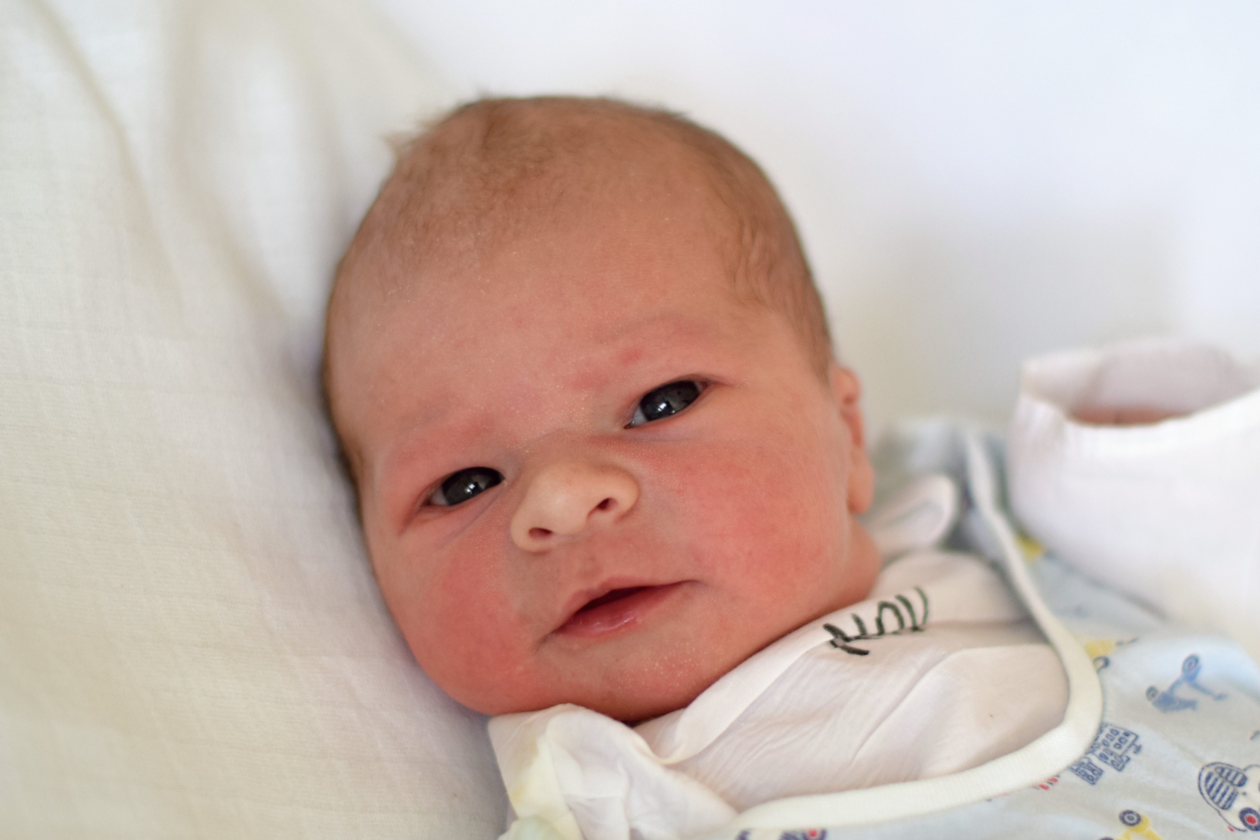 Bravenec Dominik