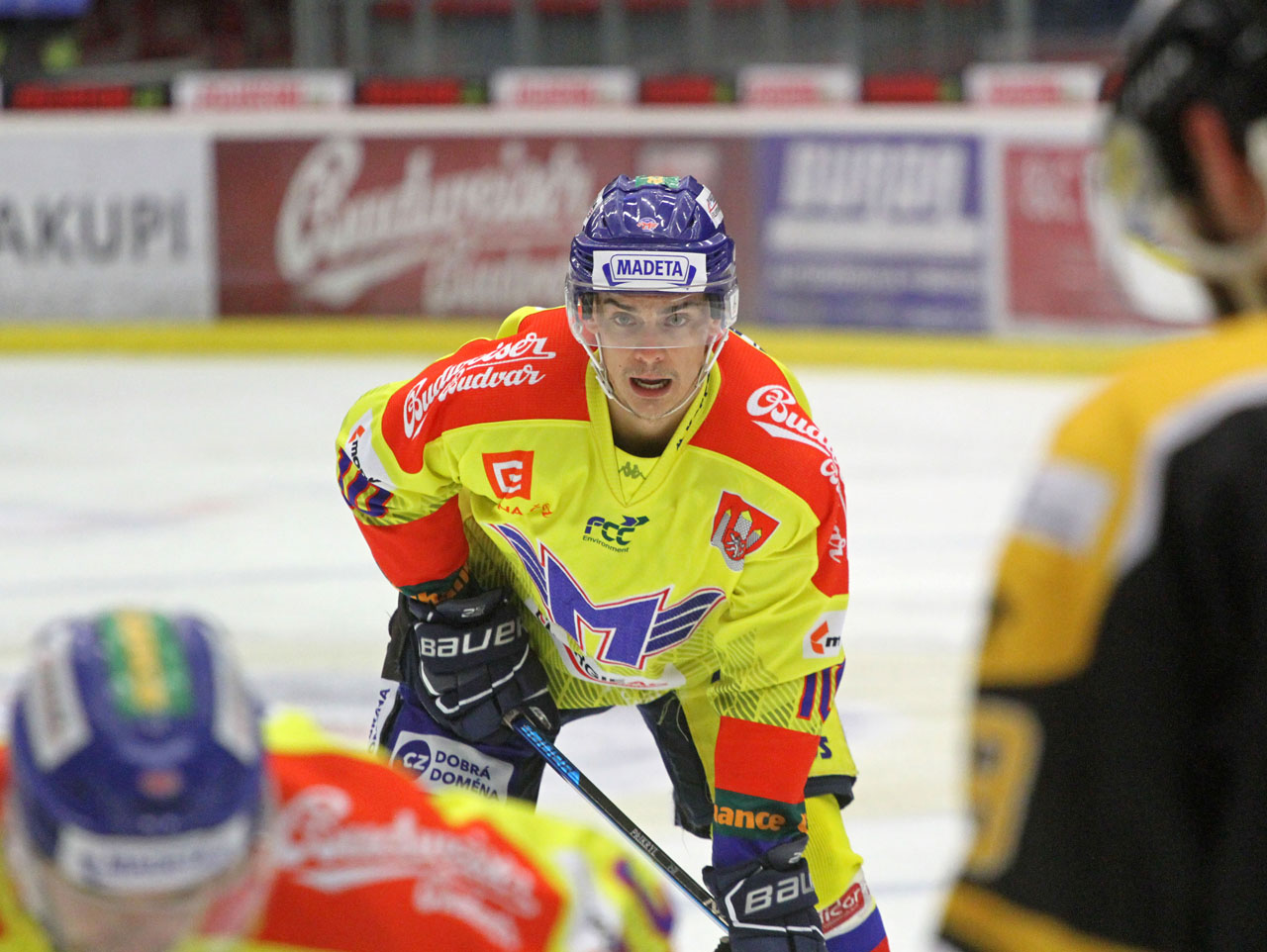 ČEZ Motor České Budějovice - HC Baník Sokolov