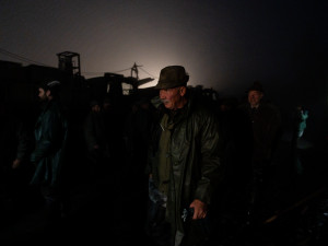 Výlov rybníku Bezdrev