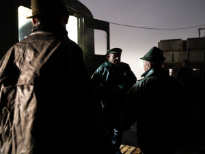 Výlov rybníku Bezdrev