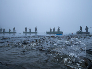 Výlov rybníku Bezdrev