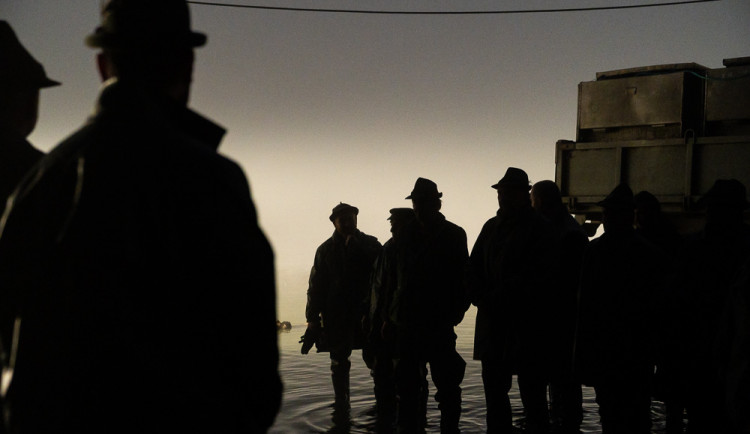 Výlov rybníku Bezdrev