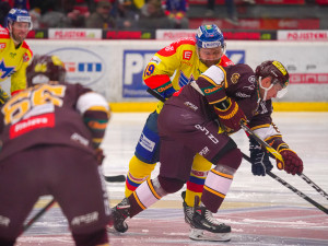 ČEZ Motor České Budějovice vs HC Dukla Jihlava