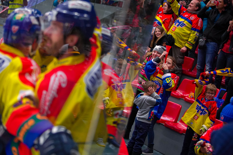 ČEZ Motor České Budějovice vs HC Dukla Jihlava