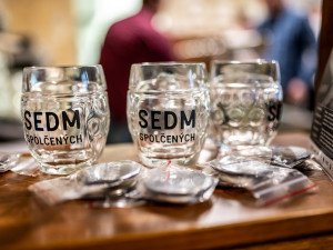 Představení Sedmi spolčených