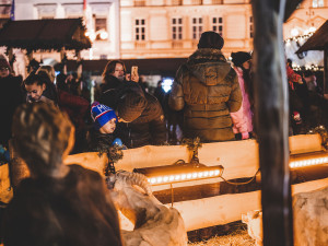 Přílet anděla 2019