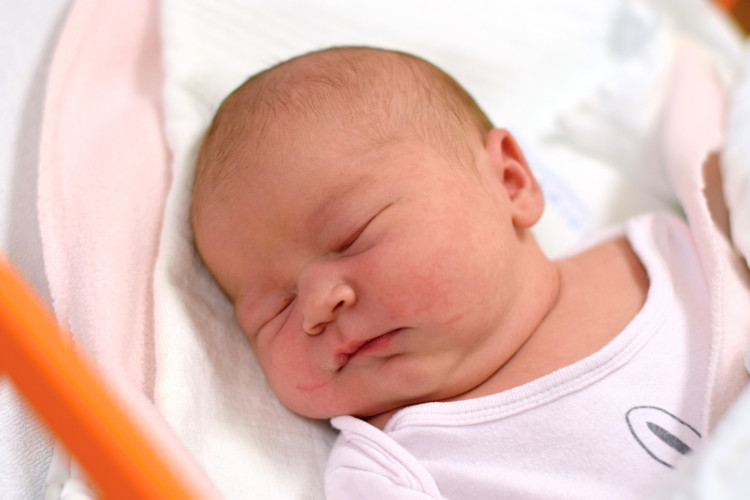 Hojková Annastázie