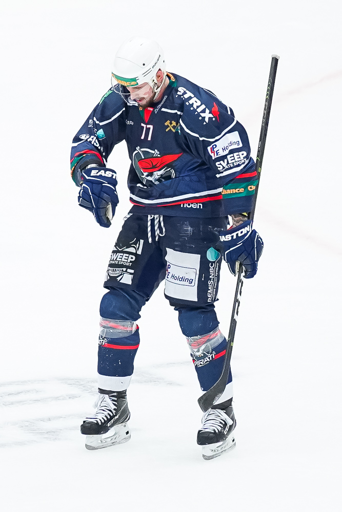 ČEZ Motor České Budějovice vs Piráti Chomutov