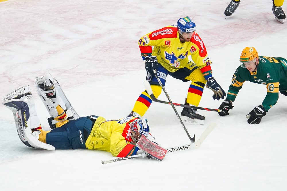 ČEZ Motor České Budějovice vs VHK ROBE Vsetín