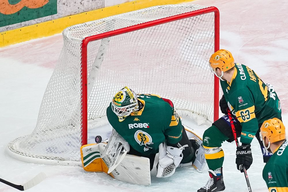 ČEZ Motor České Budějovice vs VHK ROBE Vsetín