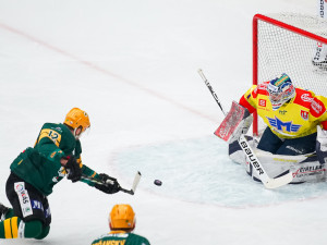 ČEZ Motor České Budějovice vs VHK ROBE Vsetín